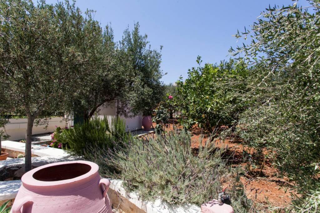 Beautiful Holiday House Near The Sea Sissi  Bagian luar foto